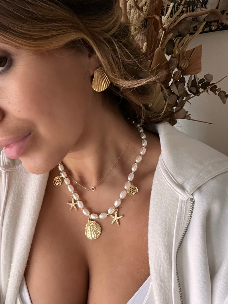 SHELL Earrings